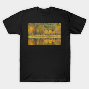 Serene autumn landscape at forest lake T-Shirt